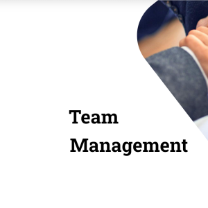 Mastering Team Management